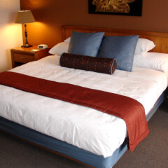 Luxurious Rooms in the Resort